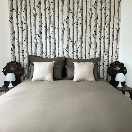 Maria De La Maison Saint-josse * 콜마